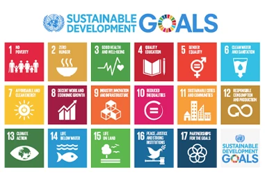 Aligned with Global Goals 